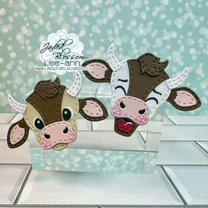 Cow Faces