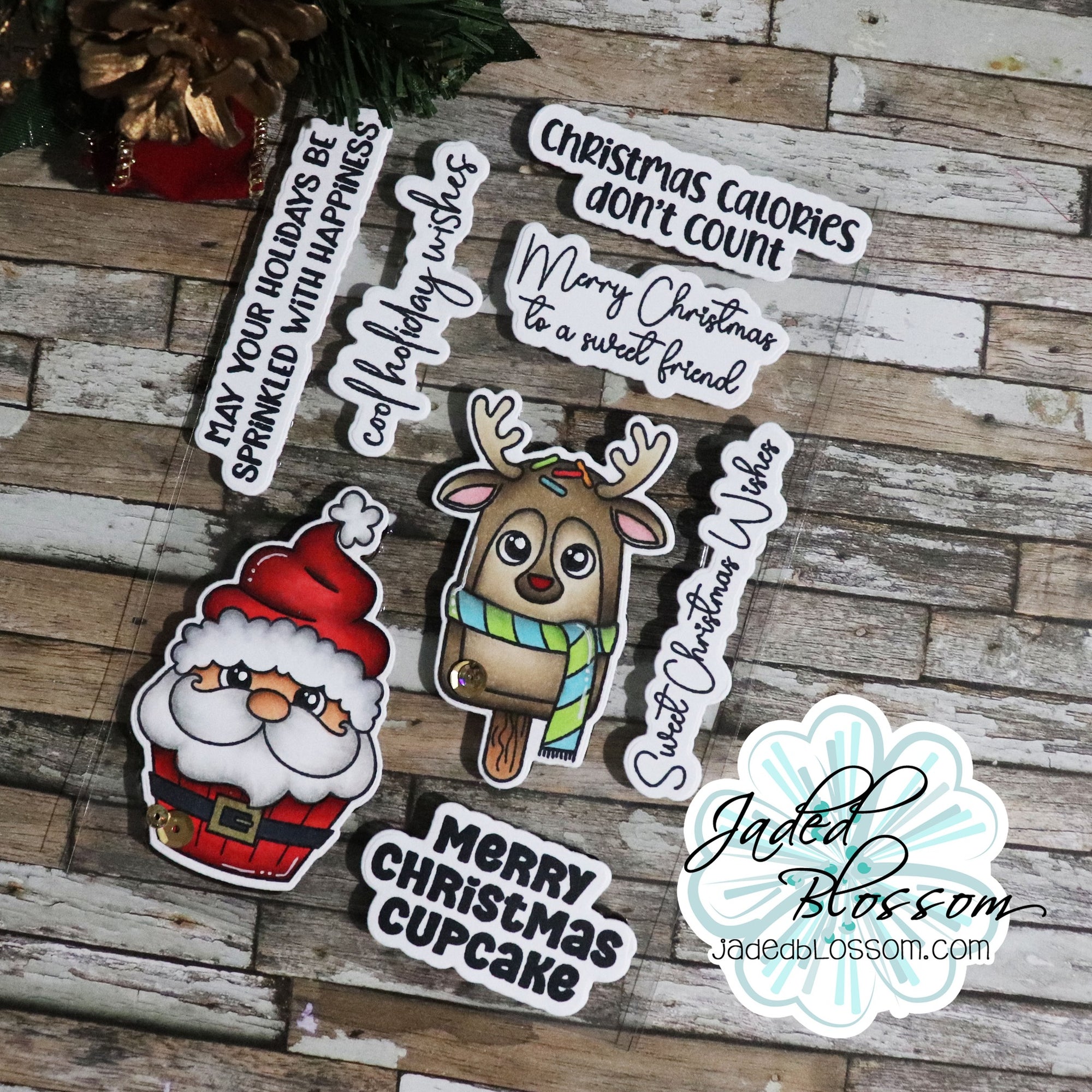 CindyExample_2000x.jpg?v=