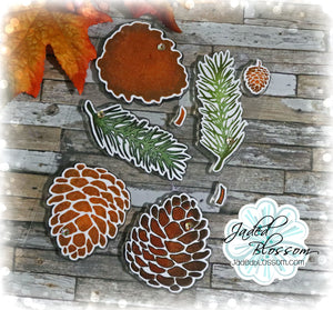 Pinecones